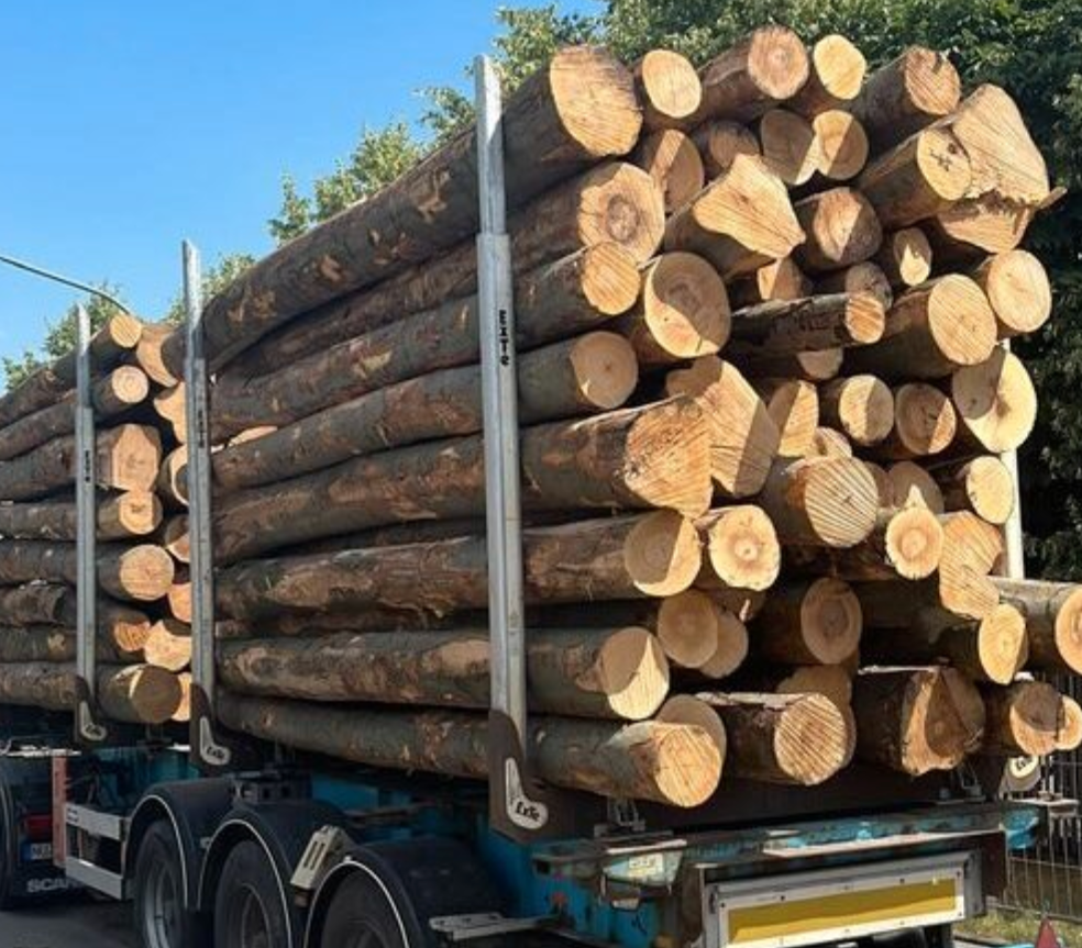 Bois de Chauffage Chêne – Camion de 20 Stères