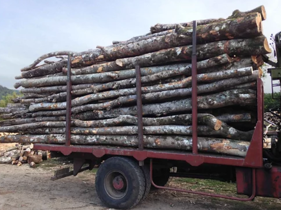 Bois de Chauffage Chêne – Camion de 50 Stères